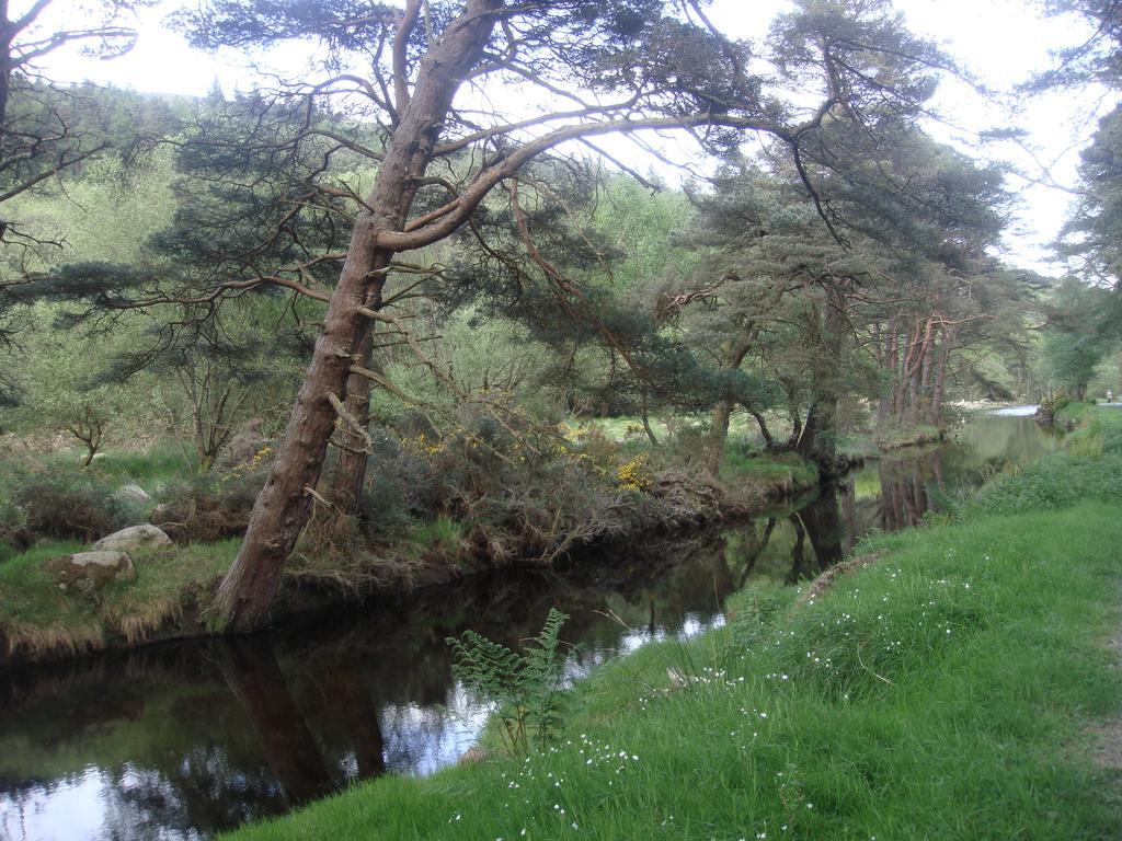 Riversdale House Accommodation Laragh Eksteriør billede